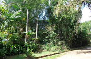 Listing dsc05609
