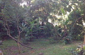 Listing img 5657