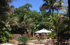 Listing img 3713