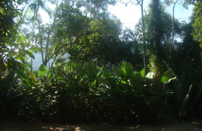 Listing dsc04592