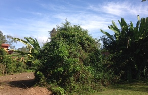 Listing img 3975 1